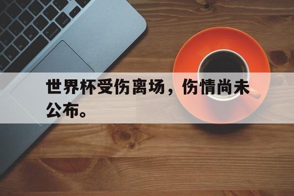 开云官方网址-世界杯受伤离场，伤情尚未公布。