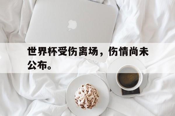 开云官方登录-世界杯受伤离场，伤情尚未公布。