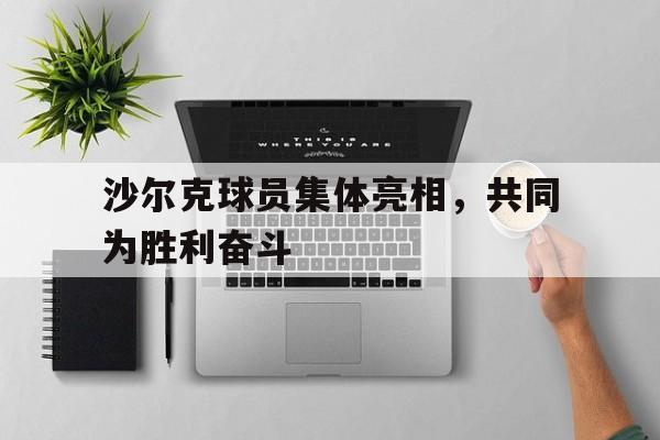 沙尔克球员集体亮相，共同为胜利奋斗